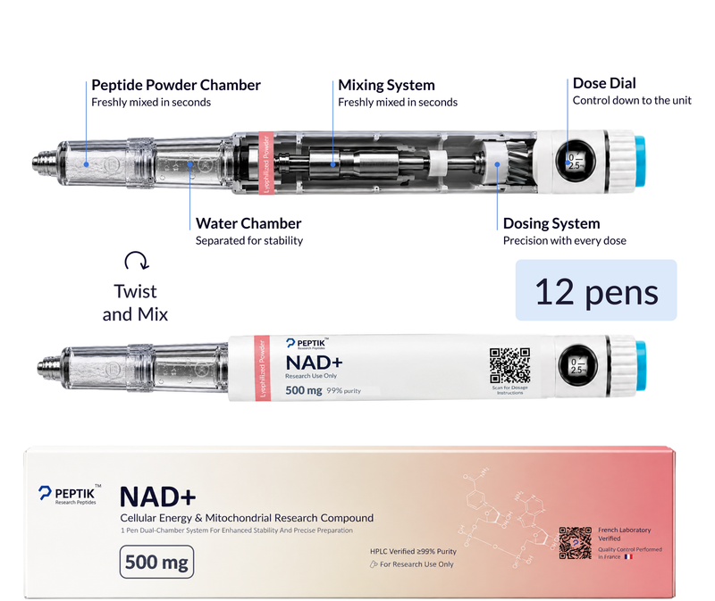 Complete NAD+ Energy Cellular Cycle